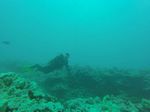 Hawaii Scuba divng 24