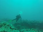 Hawaii Scuba divng 25