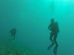 Hawaii Scuba divng 29