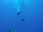 Hawaii Scuba divng 02