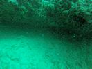 Hawaii Scuba divng 100