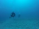 Hawaii Scuba divng 16