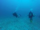 Hawaii Scuba divng 17