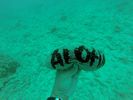 Hawaii Scuba divng 48