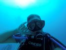 Hawaii Scuba divng 57