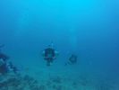 Hawaii Scuba divng 59