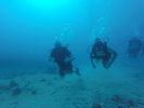 Hawaii Scuba divng 05