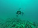 Hawaii Scuba divng 64