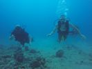 Hawaii Scuba divng 73