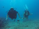 Hawaii Scuba divng 75