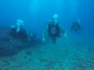 Hawaii Scuba divng 77