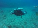 Hawaii Scuba divng 78