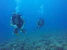 Hawaii Scuba divng 80