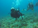 Hawaii Scuba divng 81