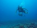 Hawaii Scuba divng 86