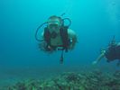 Hawaii Scuba divng 87