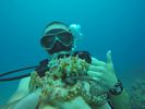 Hawaii Scuba divng 89