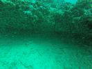 Hawaii Scuba divng 99