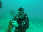 Hawaii Scuba divng 10