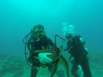 Hawaii Scuba divng 16