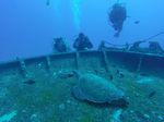 Hawaii Scuba divng 01