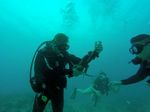 Hawaii Scuba divng 22