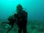 Hawaii Scuba divng 23