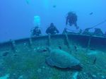 Hawaii Scuba divng 02