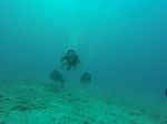 Hawaii Scuba divng 32