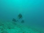 Hawaii Scuba divng 33