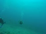 Hawaii Scuba divng 38