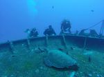 Hawaii Scuba divng 03