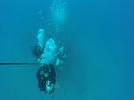 Hawaii Scuba divng 05