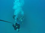 Hawaii Scuba divng 06