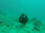 Hawaii Scuba divng 10