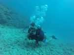 Hawaii Scuba divng 11