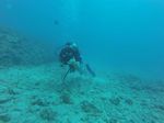 Hawaii Scuba divng 12