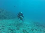 Hawaii Scuba divng 13