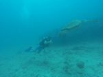 Hawaii Scuba divng 21