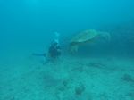 Hawaii Scuba divng 22