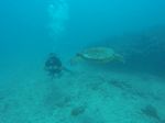 Hawaii Scuba divng 23