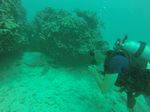 Hawaii Scuba divng 30