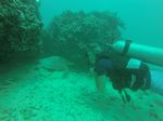 Hawaii Scuba divng 31