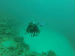 Hawaii Scuba divng 42