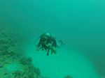 Hawaii Scuba divng 43
