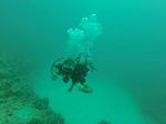 Hawaii Scuba divng 44