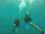 Hawaii Scuba divng 04