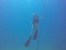 Hawaii Scuba divng 10