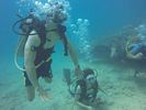 Hawaii Scuba divng 18