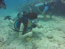 Hawaii Scuba divng 19